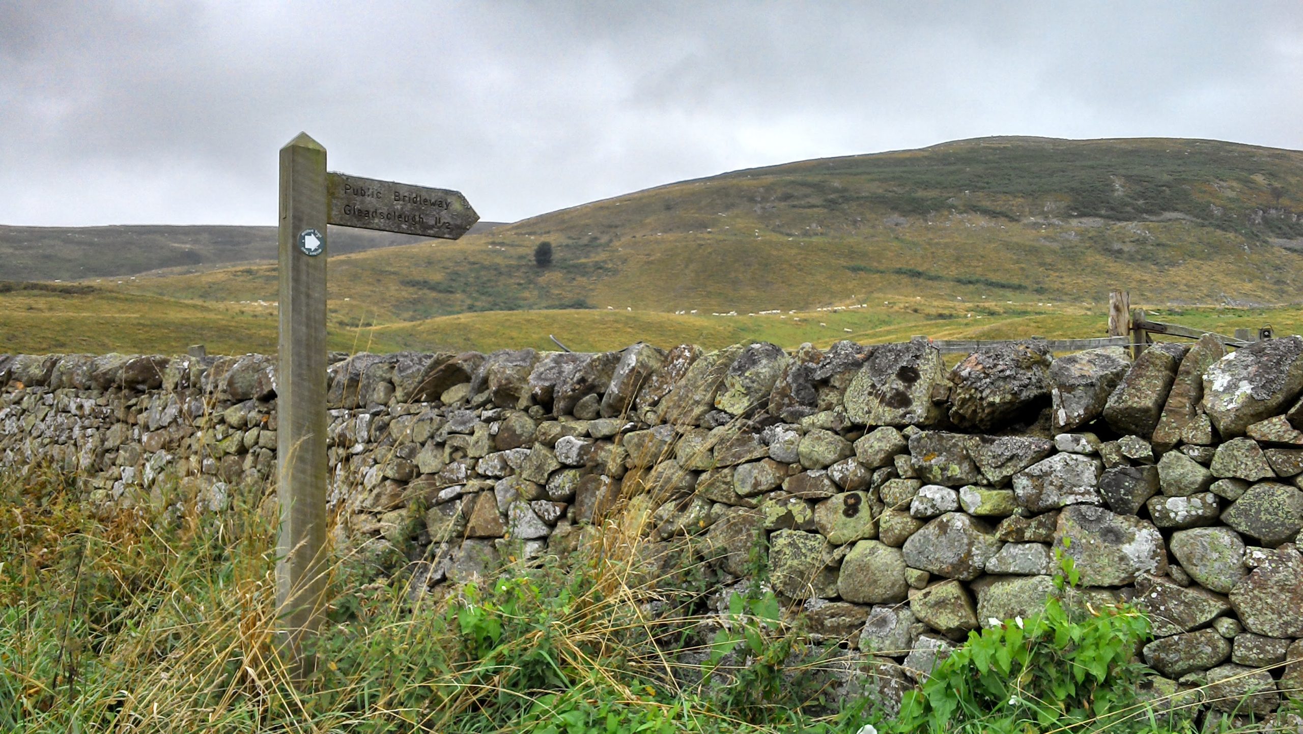 Hillock